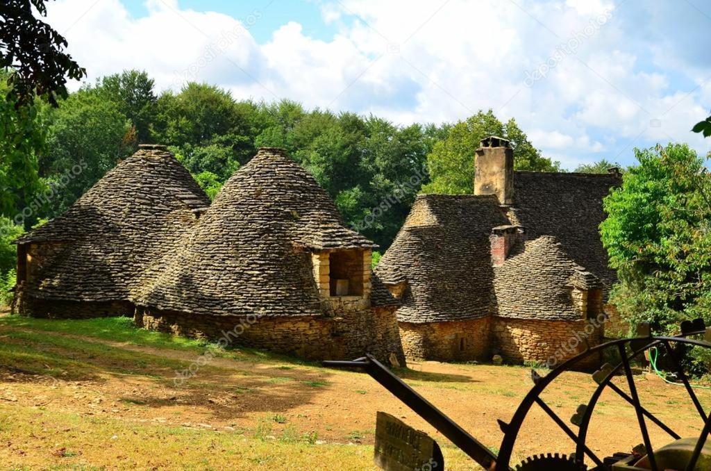 Вилла Maison Avec Patio Dans Le Centre Historique Террассон Экстерьер фото